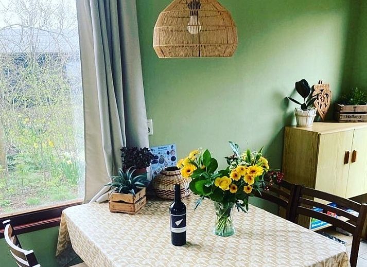 Ferienhaus Vogelsand in Den Hoorn Texel, umgeben von gruener Natur und Ruhe.