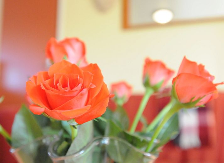 Charming farm exterior of Apartment Rood in Den Hoorn, Texel, perfect for a relaxing vacation.