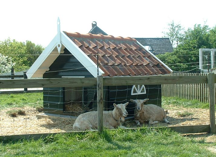 Cozy annex of Appartement Rood in Den Hoorn, Texel, ideal for a quiet vacation on the Wadden Islands.