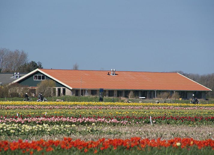 Unterkunft 010573 • Ferienhaus Texel • De Stolp III **** 