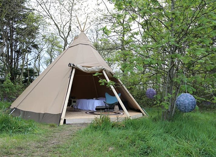Guest house 010576 • Holiday property Texel • Vakantiehuisje in Den Hoorn