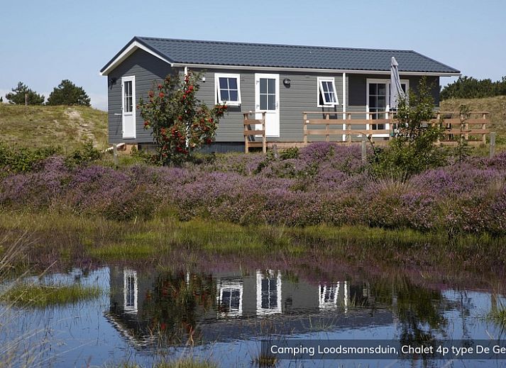 Chalet Geul 4p in Den Hoorn Texel with beautiful views of heathland and pond, ideal for nature lovers.