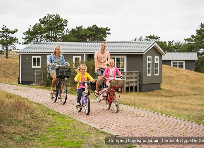 Chalet Geul 4p in Den Hoorn Texel with beautiful views of heathland and pond, ideal for nature lovers.