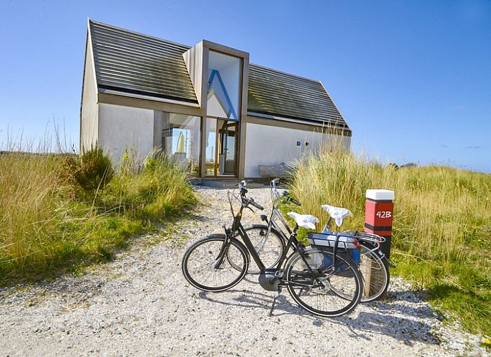 Guest house 010593 - Holiday property Texel - De Waddenhof- Waddenlodge
