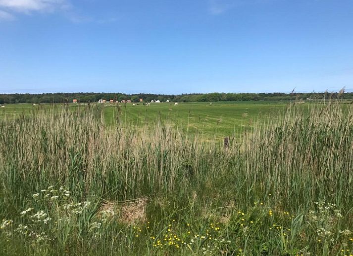 Charmantes Ferienhaus Westewind 2 Pers. in Den Hoorn, Texel. Geniessen Sie Ruhe und Natur auf den Watteninseln.
