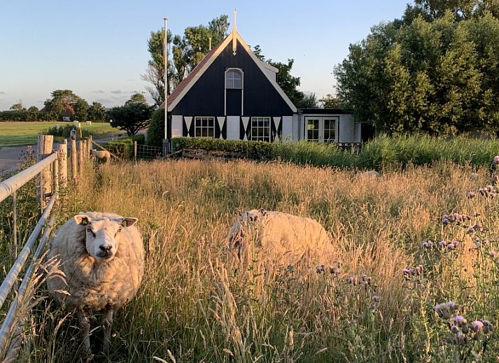 Gemuetliche Veranda im Ferienhaus 't Kaaps Huussie in Oosterend, Texel, ideal fuer entspannende Momente im Freien.