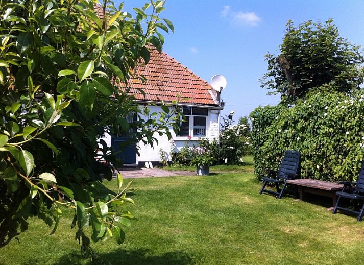 Ferienhaus De Viersprong in Oosterend, Texel mit bluehendem Baum und gruenem Garten auf den Watteninseln.