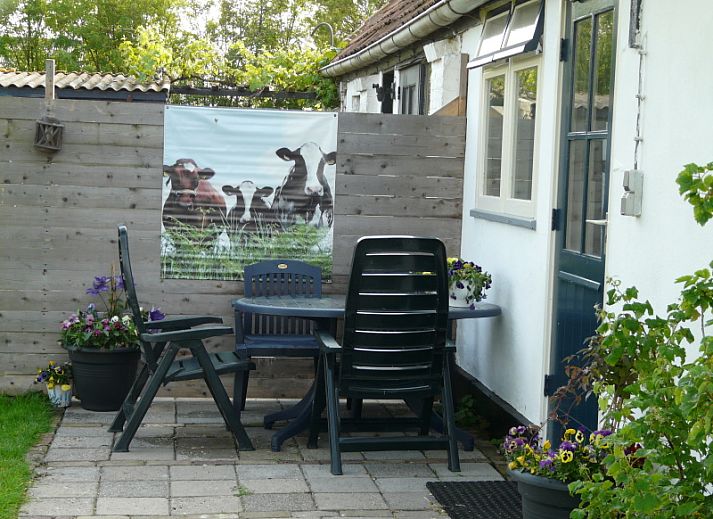 Ferienhaus De Viersprong in Oosterend, Texel mit bluehendem Baum und gruenem Garten auf den Watteninseln.
