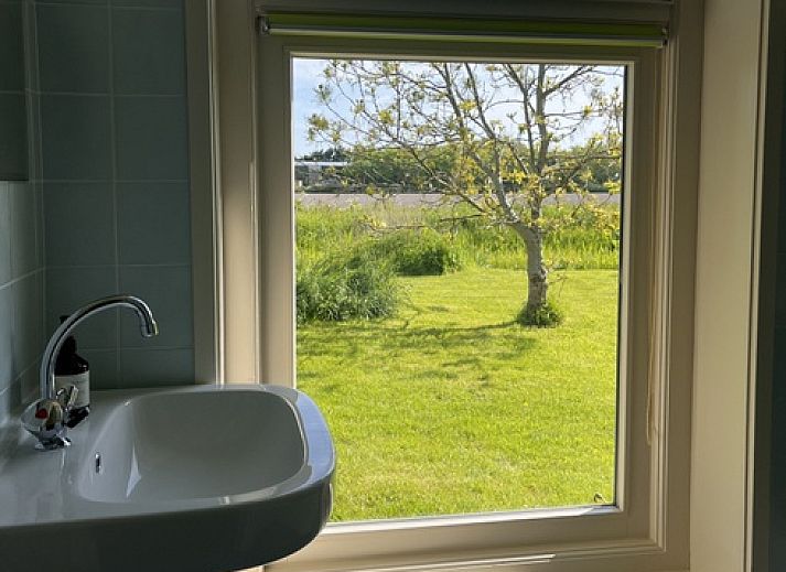 Gemuetlicher Garten des Ferienhauses De Viersprong in Oosterend, Texel mit Terrasse und ueppiger Natur.