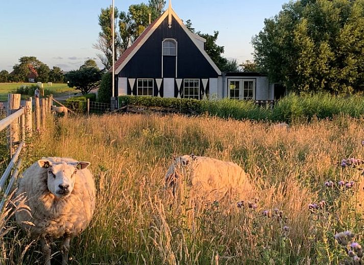 Vacation home in Oosterend Texel, located in the green landscape of the Wadden Islands with wide views over the fields.