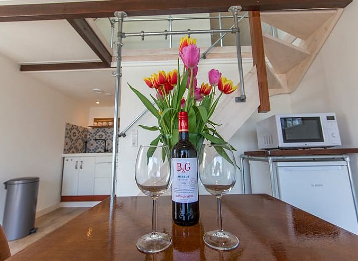 Luftaufnahme des Ferienhauses in Oosterend, Texel, mit Blick auf Meer und Wiesen.