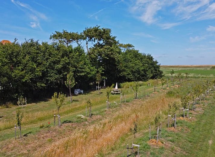 Sonniger Aussenbereich des Ferienhauses in Oosterend, Texel, mit Terrasse und Sitzgelegenheiten.