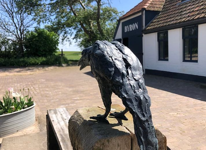Sonniger Aussenbereich des Ferienhauses in Oosterend, Texel, mit Terrasse und Sitzgelegenheiten.