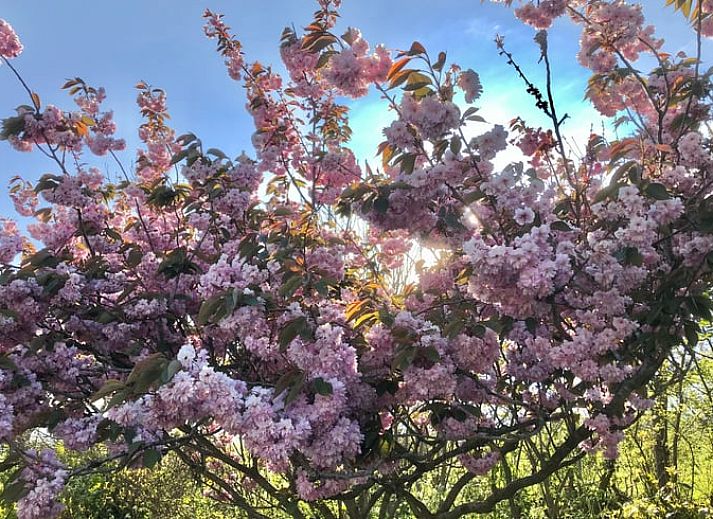 Gemuetlicher Innenbereich des Ferienhauses in Oosterend, Texel, mit Essbereich und offener Treppe.