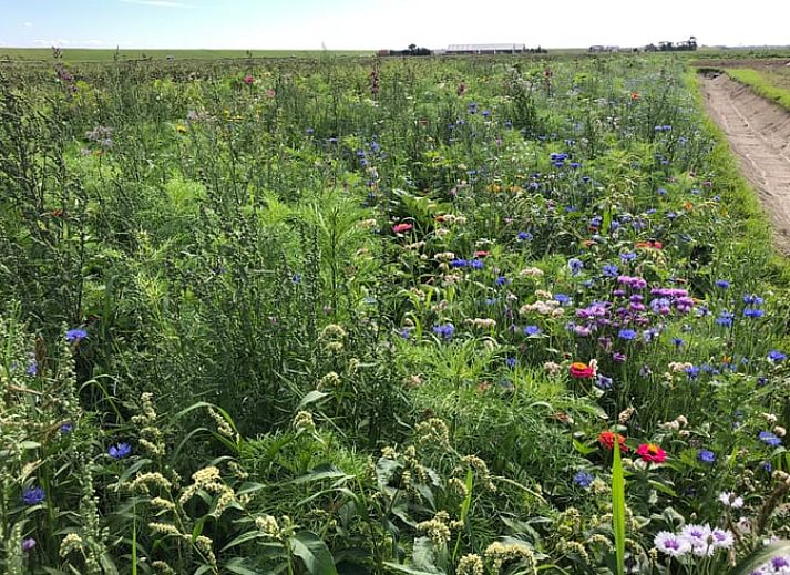 Gemuetlicher Innenbereich des Ferienhauses in Oosterend, Texel, mit Essbereich und offener Treppe.
