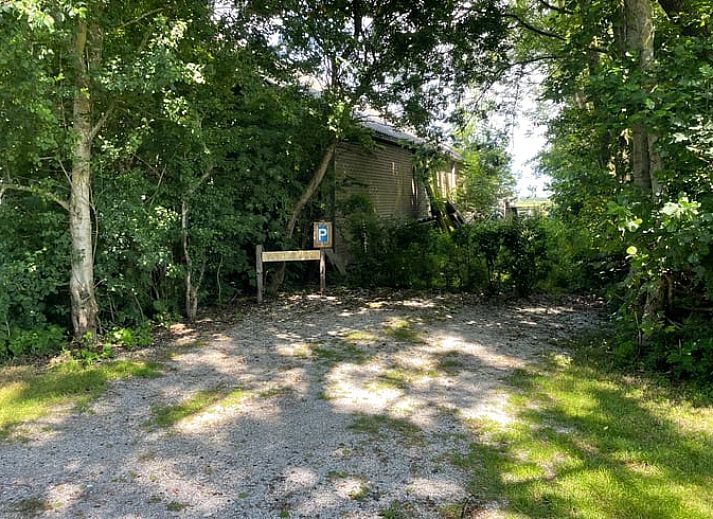 Sonniger Garten im Ferienhaus in Oosterend Texel, Watteninseln, mit Terrasse und Sitzgelegenheit.