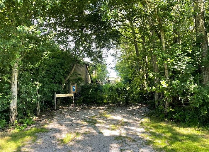 Blick vom Esszimmer des Ferienhauses in Oosterend Texel, mit Zugang zum Garten.