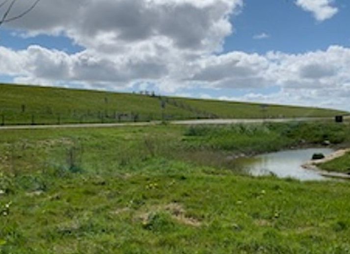 Blick vom Esszimmer des Ferienhauses in Oosterend Texel, mit Zugang zum Garten.