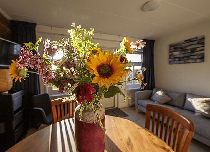 Luchtfoto van Vakantiehuisje in Oosterend Texel met uitzicht op zee en groene velden op de Waddeneilanden.