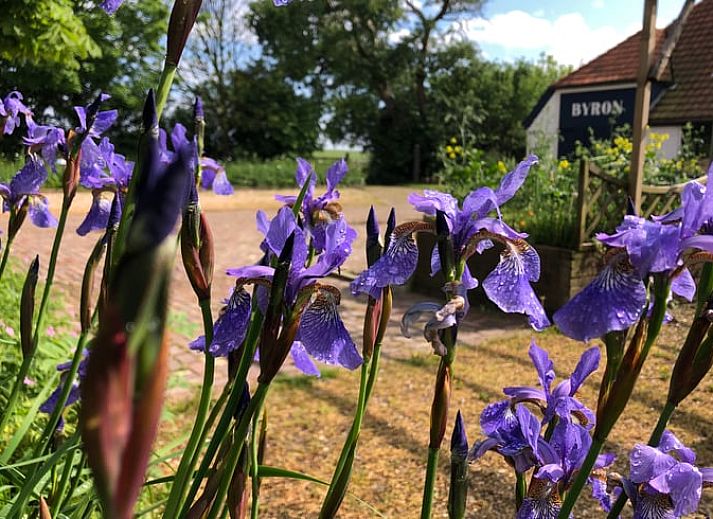 Traditioneel ontwerp van Vakantiehuisje in Oosterend Texel met gezellige buitenruimte op de Waddeneilanden.
