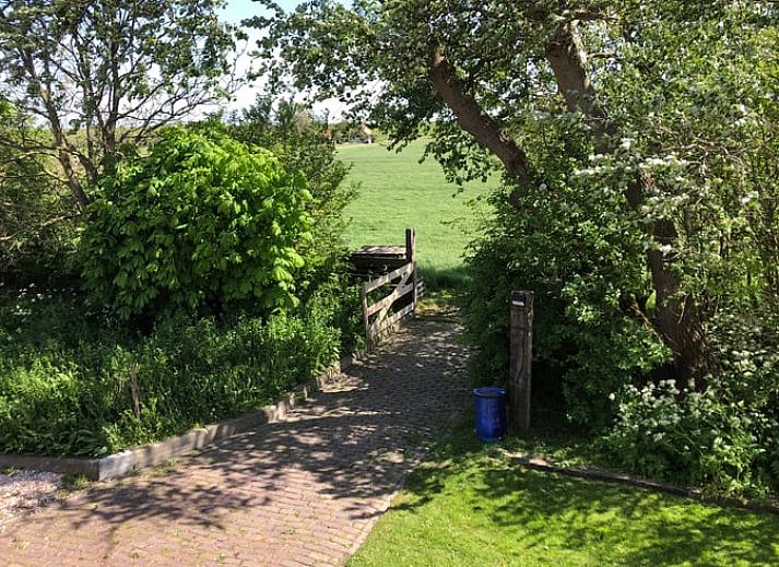 Gezellige woonkamer van Vakantiehuisje in Oosterend Texel met uitzicht op de natuur van de Waddeneilanden.