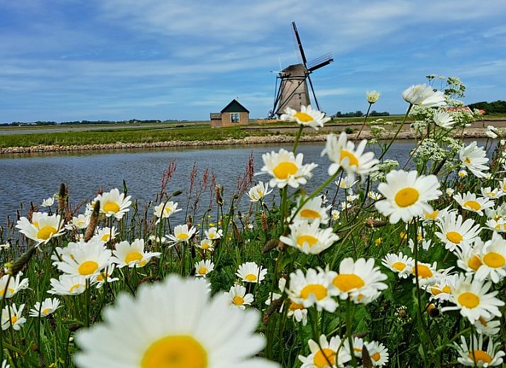 Modern eingerichteter Wohnwagen mit Vorzelt in Oosterend, Texel, Watteninseln mit Luxuskueche und komfortablem Schlafzimmer.