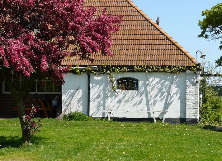 Verblijf 010625 • Vakantiewoning Texel • De Viersprong