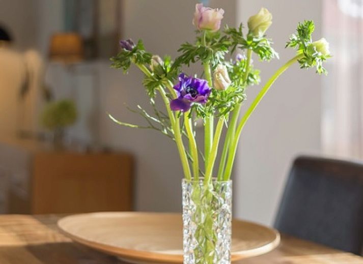 Enjoy the terrace at Type III - No. 21E Storm Gull in Oosterend, Texel, ideal for a vacation home on the Wadden Islands.