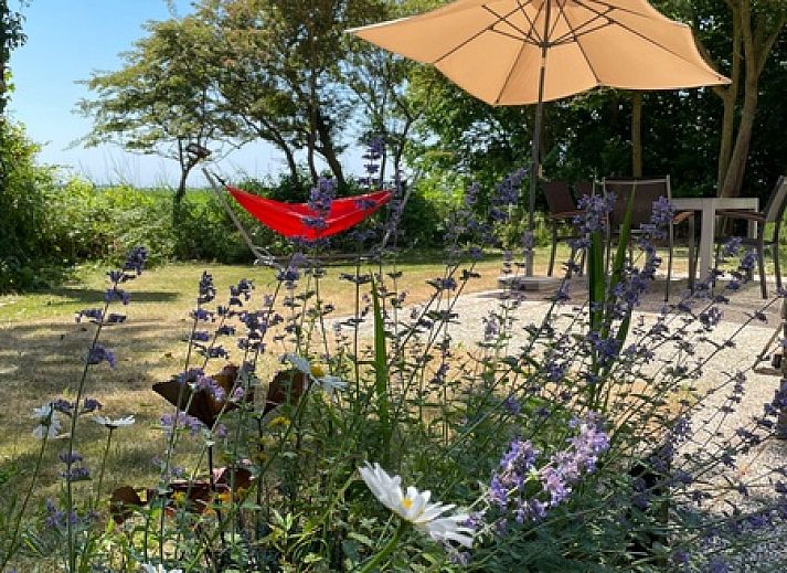 Ruime woonkamer in Type II - nr. 47 Koolmees, vakantiehuis Oosterend, Texel met comfortabele bruine banken.