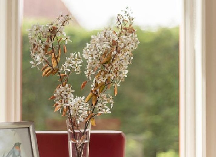 Gezellig vakantiehuis Type II+ - nr. 77 Goudvink in Oosterend, Texel met oprit en groene omgeving.