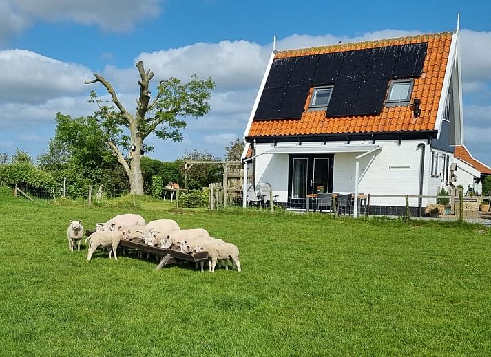 Verblijf 010657 • Vakantiewoning Texel • Prins Hendrik