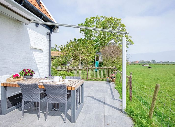 Vakantiehuis 't Raadsel in Oosterend Texel met groene weide en schapen in de omgeving.