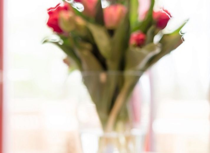 Type I - No. 49 Kragenmaker in Oosterend Texel, charming vacation home with red facade and green garden on the Wadden Islands.