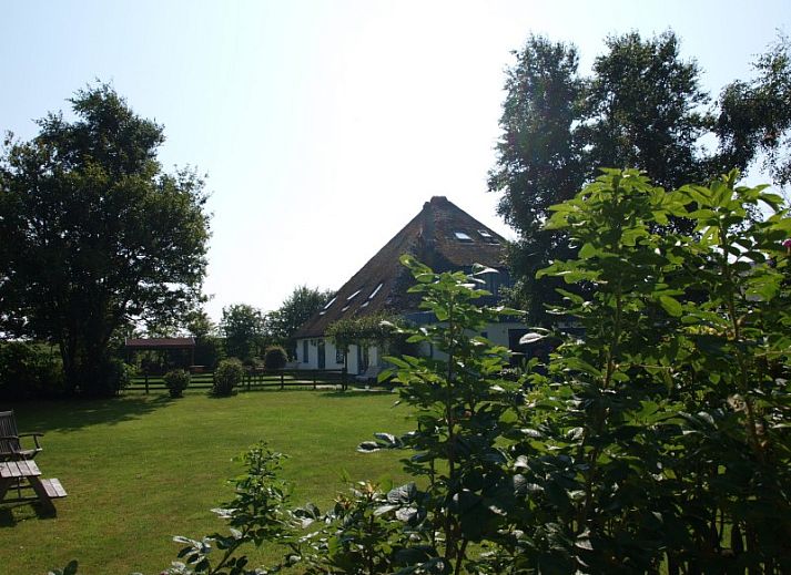 Verblijf 010666 • Vakantiewoning Texel • Bloem