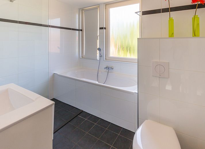 Gezellig terras bij Type II+ - nr. 91 Dwergstern vakantiehuis in Oosterend, Texel met groene stoelen.