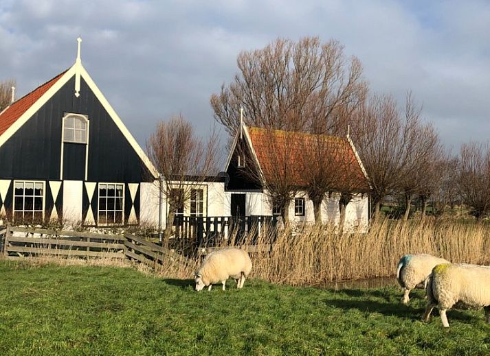 't Kaaps Huussie vakantiehuis in Oosterend, Texel met weids uitzicht over groene velden en landelijke omgeving.
