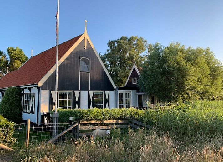Schapen grazen bij 't Kaaps Huussie, een charmant vakantiehuis in Oosterend, Texel omringd door natuur.