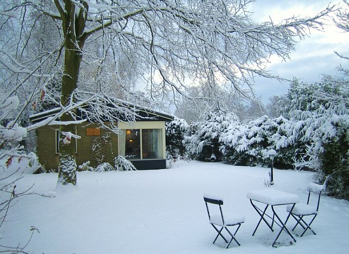 Unterkunft 010699 - Ferienhaus Texel - Bungalowpark De Toes - Prinzapolka