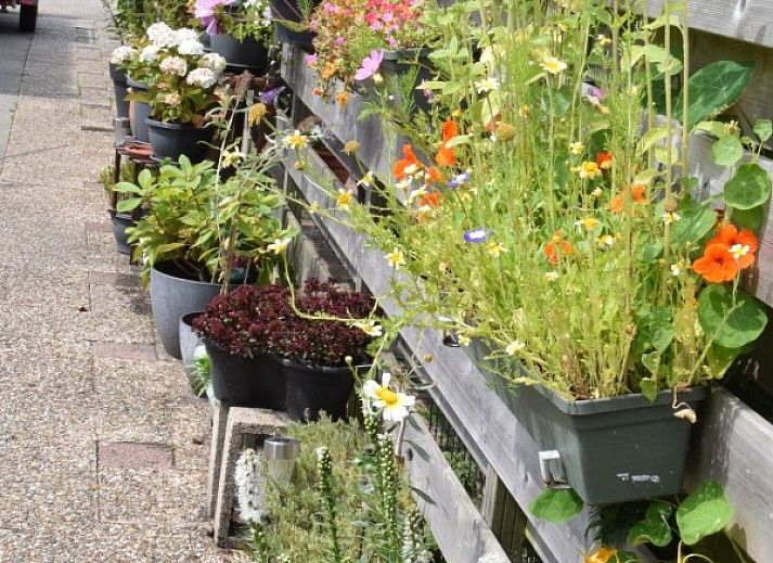 Komfortable Sitzecke im Ferienhaus 't Achterhuis, Oudeschild, Texel.