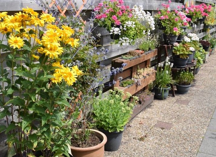 Komfortable Sitzecke im Ferienhaus 't Achterhuis, Oudeschild, Texel.