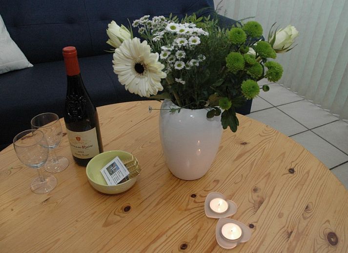 Guest house 010809 - Bungalow Texel - Alkema bungalowverhuur Gortersmient