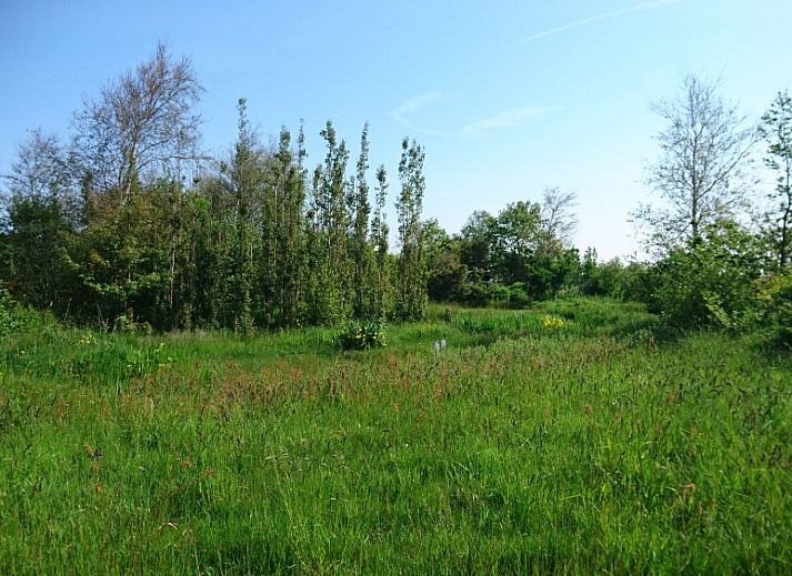 Cozy terrace at Akkerveld 27 chalet in Dennenbos Texel, ideal for outdoor activities.