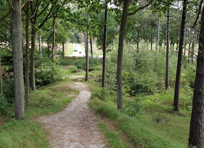 Badkamer in De Strandloper bungalow, De Koog, Texel met tropisch douchegordijn.