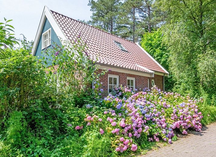 Guest house 0113158 - Holiday property Texel - 't Mienthuis - De Prins