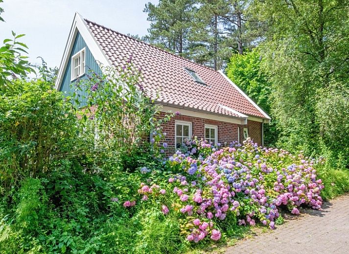 Guest house 0113158 - Holiday property Texel - 't Mienthuis - De Prins