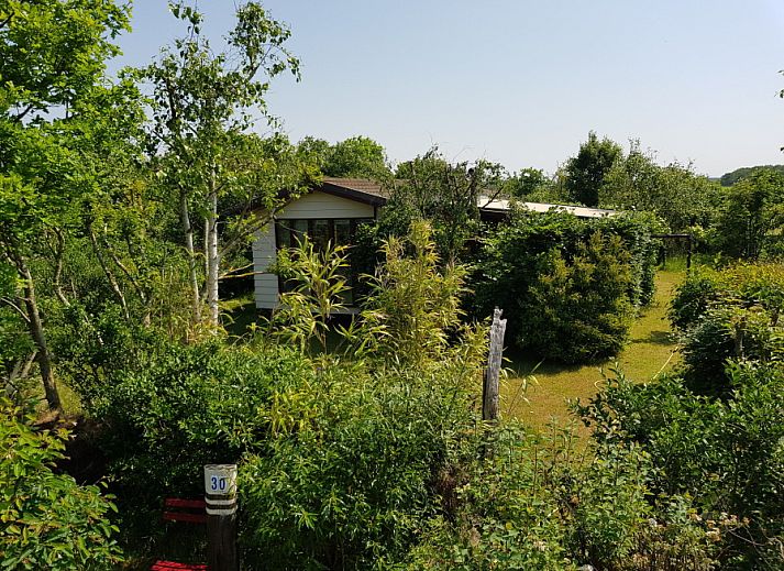 Vakantiepark De Bremakker in De Dennen, Texel, bietet ein Ferienhaus inmitten ueppiger Natur und Gruenanlagen.
