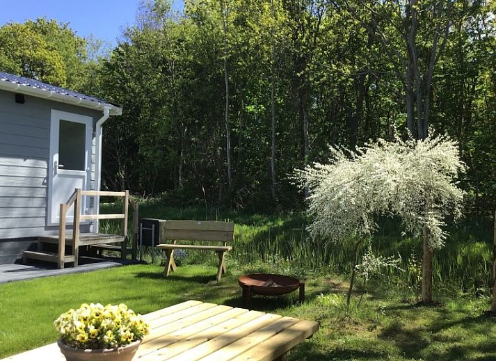 Vakantiepark de Bremakker - Bosveld 103, vakantiehuis in De Dennen, Texel met zonnige tuin en terras omringd door natuur.