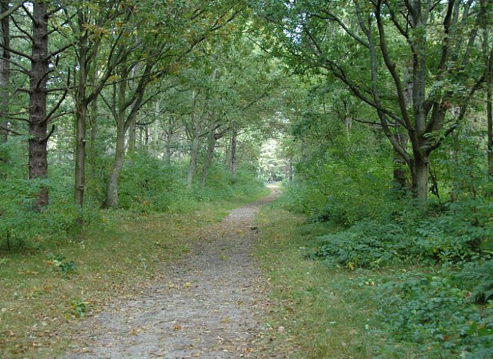 Gemuetliches Wohnzimmer von Bungalowpark Gortersmient, Ferienhaus Gortersmient 308 in De Dennen, Texel. Ein idealer Ort fuer Entspannung.