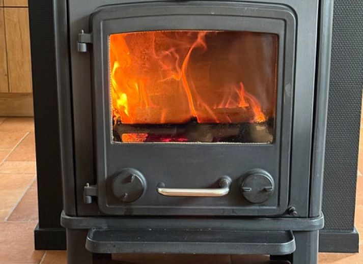 Blick auf das Ferienhaus Hesselte in De Dennen, Texel, umgeben von viel Gruen.