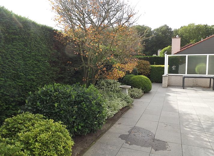 Ferienhaus Gortersmient 220 in De Dennen, Texel mit schoenem Garten und Terrasse.